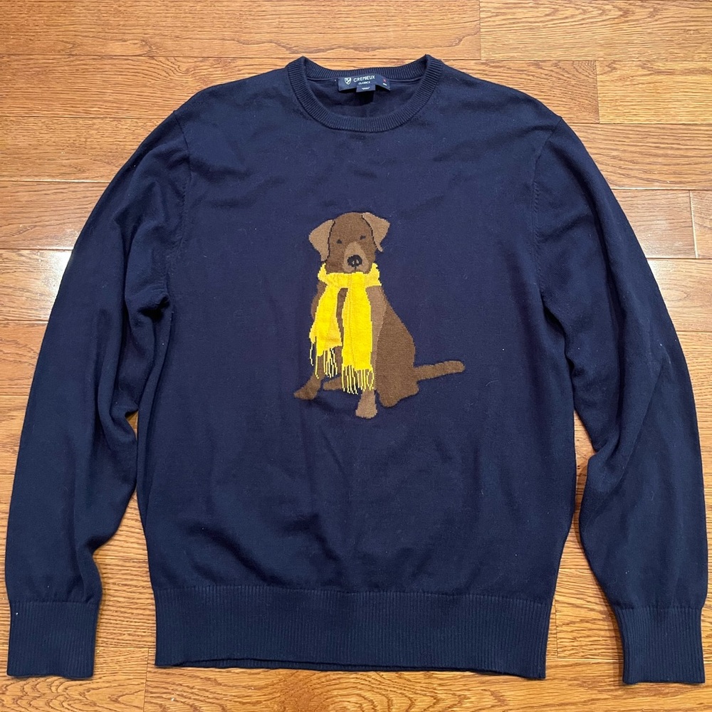 Fall Labrador Dog Sweater